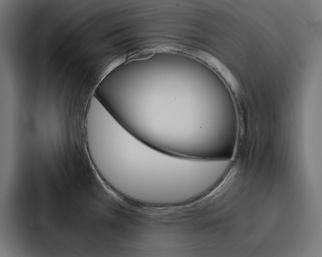 X0000088191385200705150951