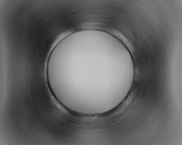 X0000088191386200705150951