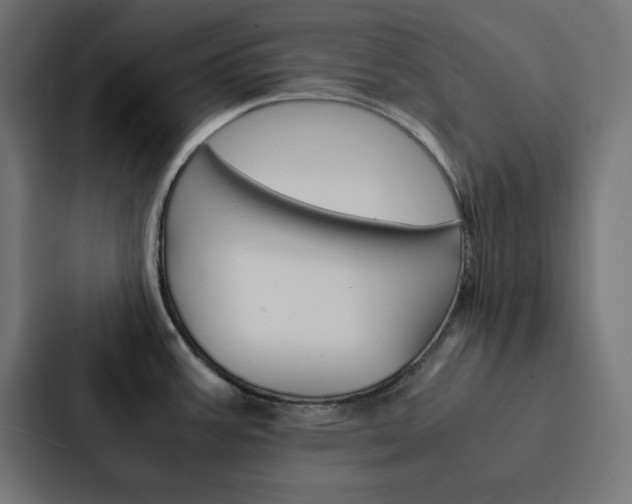X0000088191387200705150950
