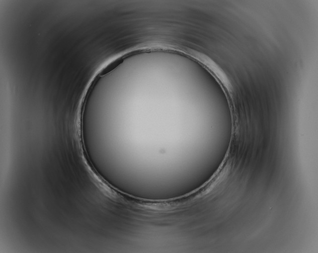 X0000088191388200705150950