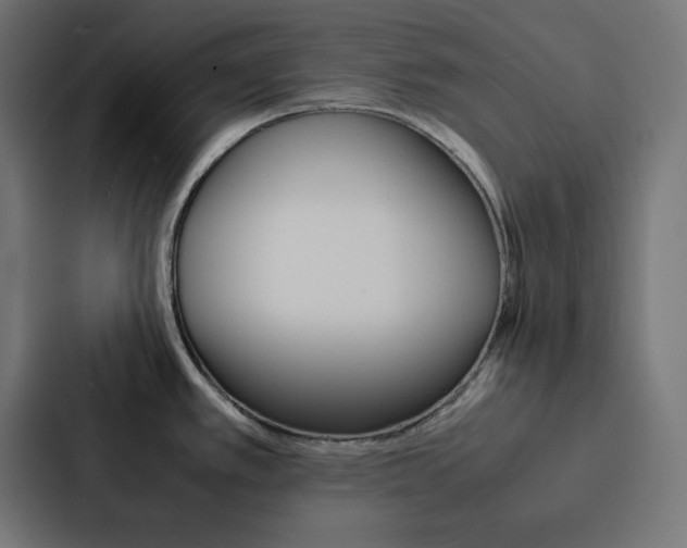 X0000088191389200705150950