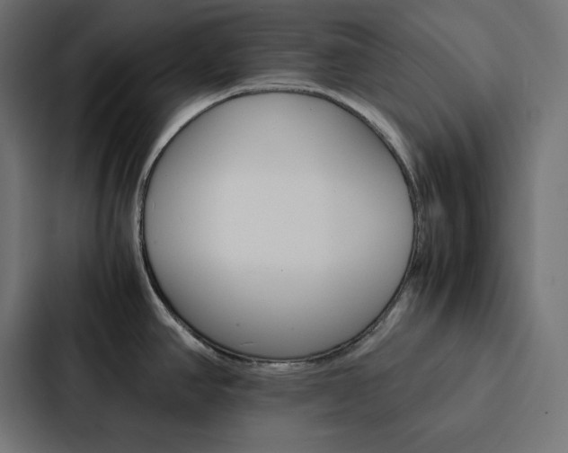 X0000088191390200705150950
