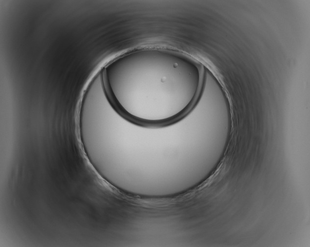 X0000088191392200705150950