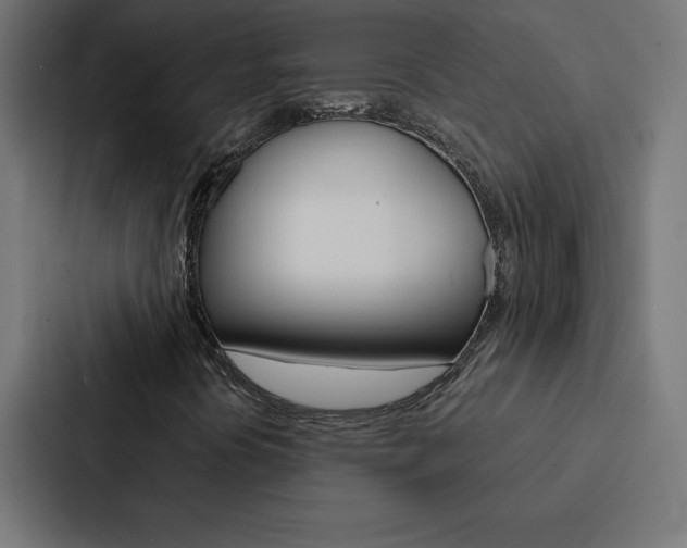 X0000088191394200705150950