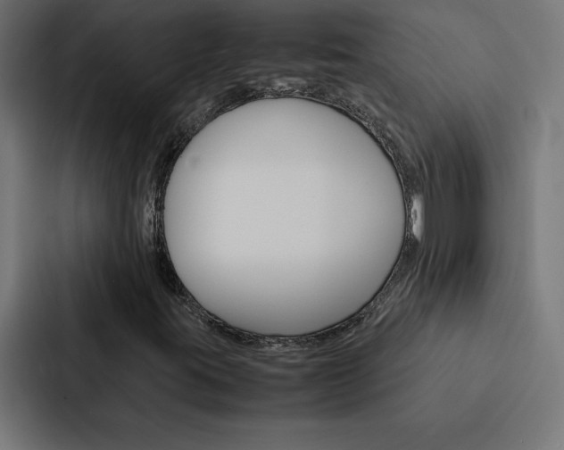 X0000088191395200705150950