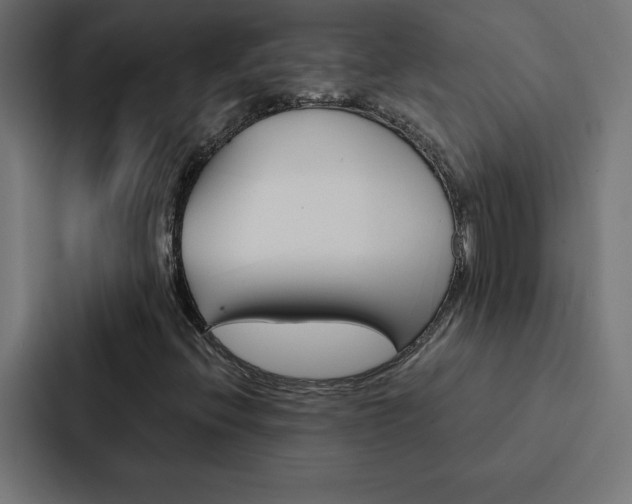 X0000088191396200705150950