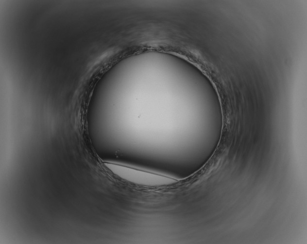 X0000088191398200705150950