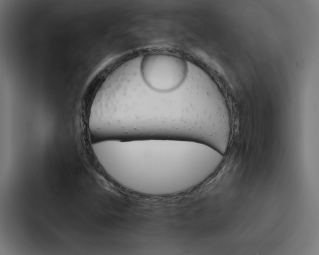X0000088191400200705150950