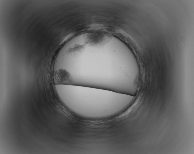 X0000088191401200705150950