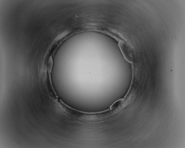 X0000088191402200705150950
