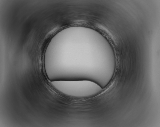 X0000088191403200705150950
