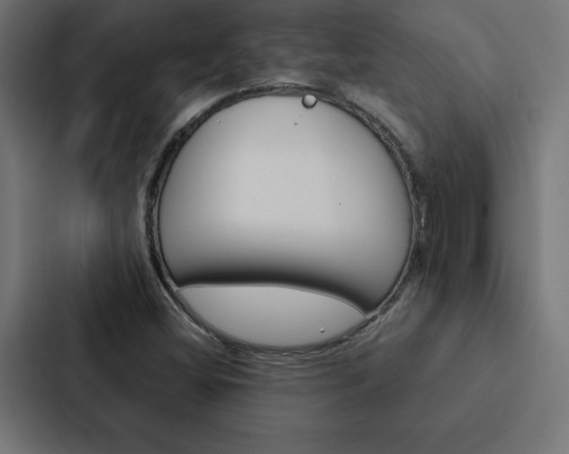 X0000088191404200705150950