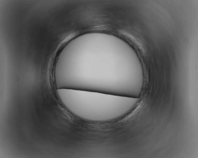X0000088191405200705150950