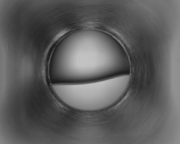 X0000088191410200705150950