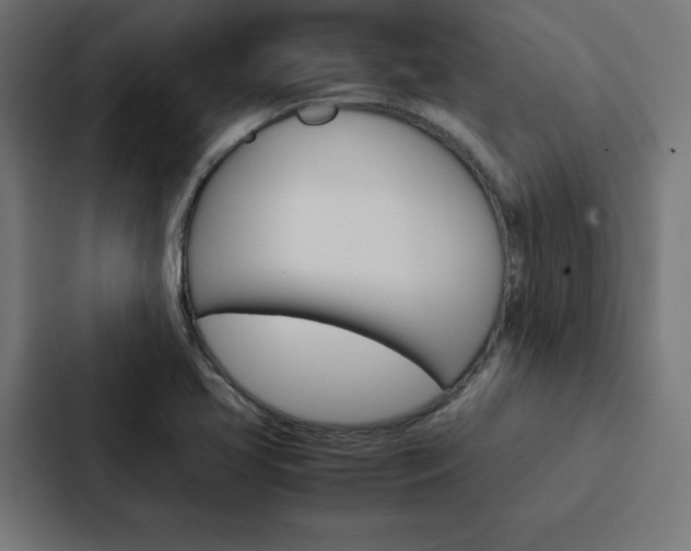 X0000088191413200705150950