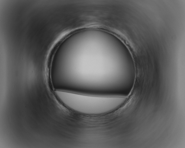 X0000088191414200705150950