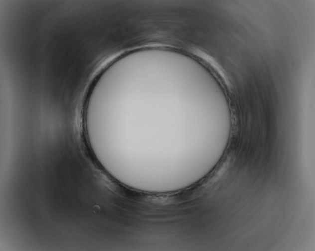 X0000088191415200705150950