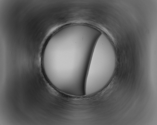 X0000088191416200705150950
