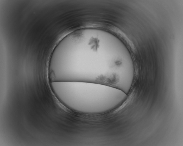 X0000088191417200705150950