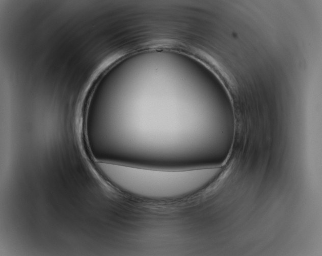 X0000088191418200705150950