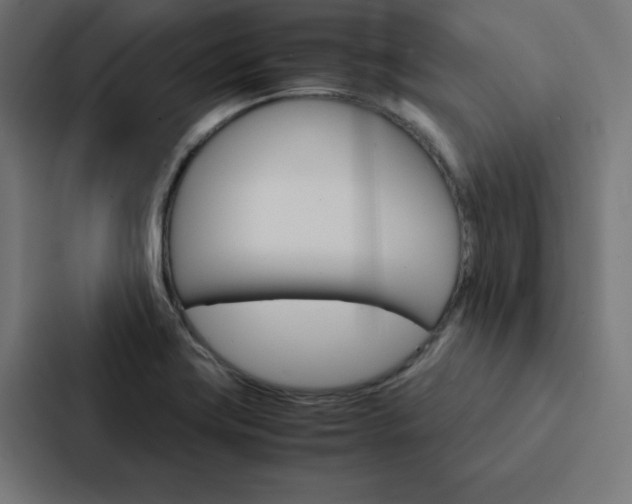 X0000088191419200705150950