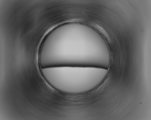 X0000088191420200705150950