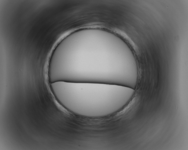 X0000088191421200705150950