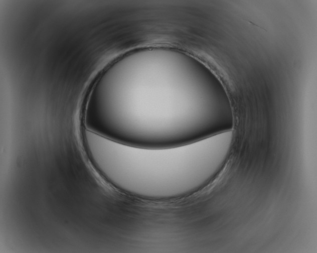 X0000088191422200705150950