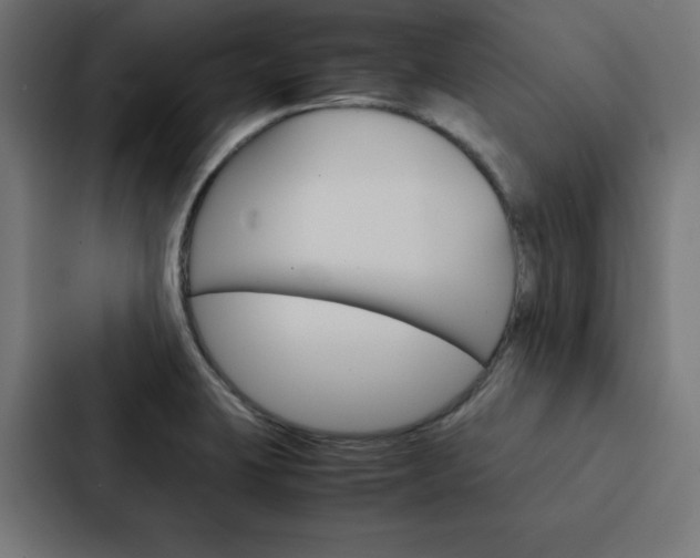 X0000088191423200705150950
