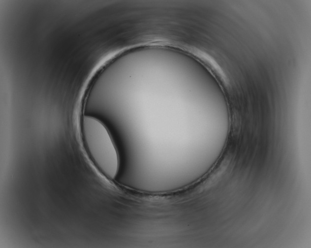 X0000088191424200705150950