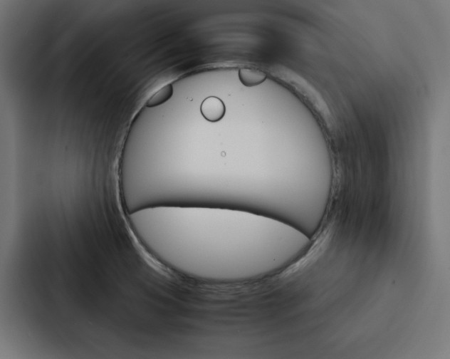 X0000088191425200705150950