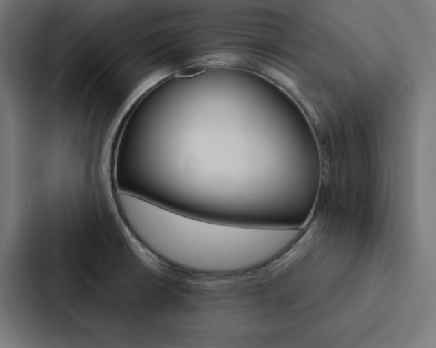 X0000088191426200705150950