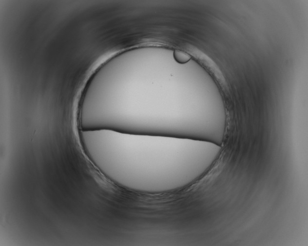 X0000088191427200705150950