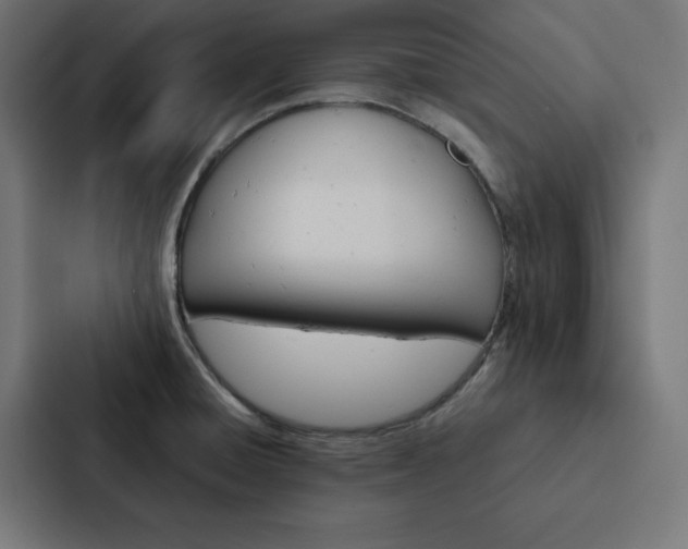 X0000088191428200705150950