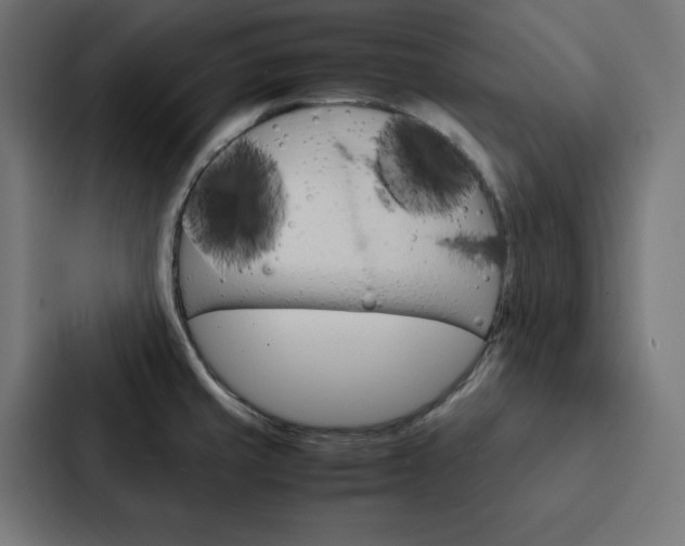 X0000088191429200705150950
