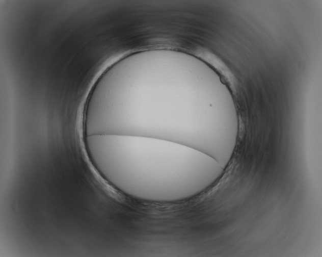 X0000088191431200705150950