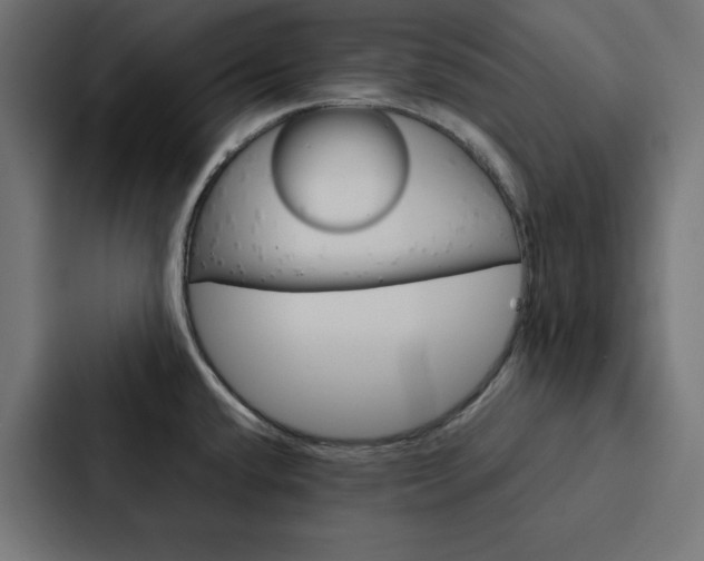 X0000088191432200705150950