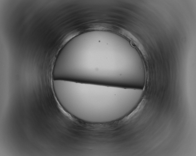 X0000088191433200705150950