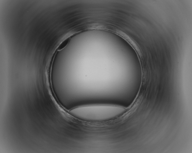 X0000088191434200705150950
