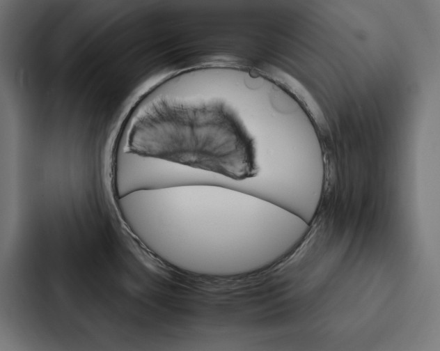 X0000088191435200705150950