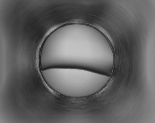X0000088191437200705150950