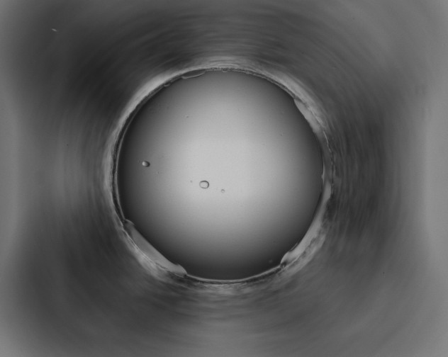 X0000088191438200705150950