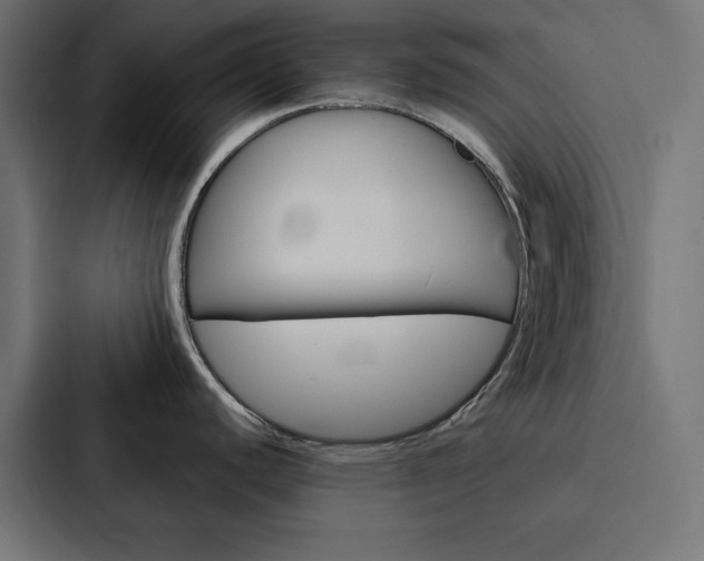 X0000088191440200705150950