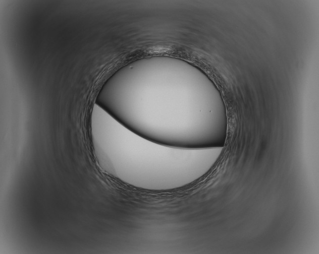 X0000088191441200705150950