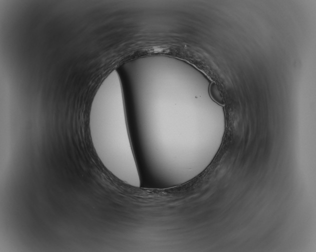 X0000088191442200705150950