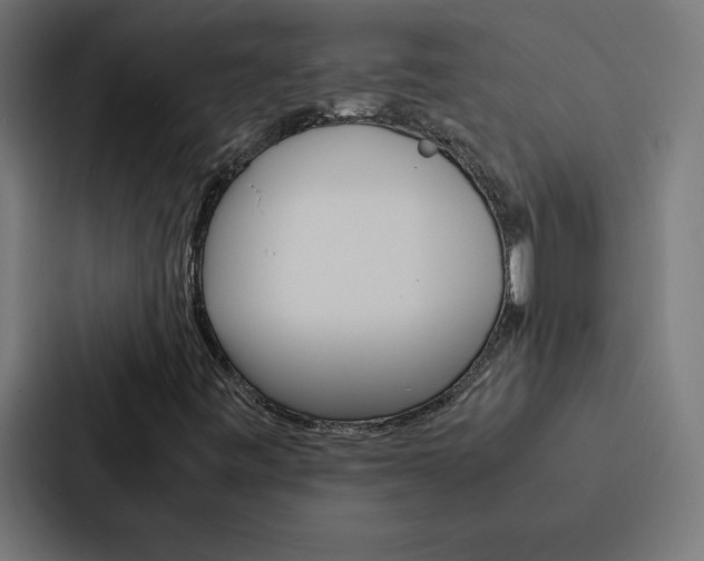 X0000088191443200705150950