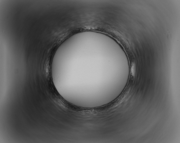 X0000088191444200705150950