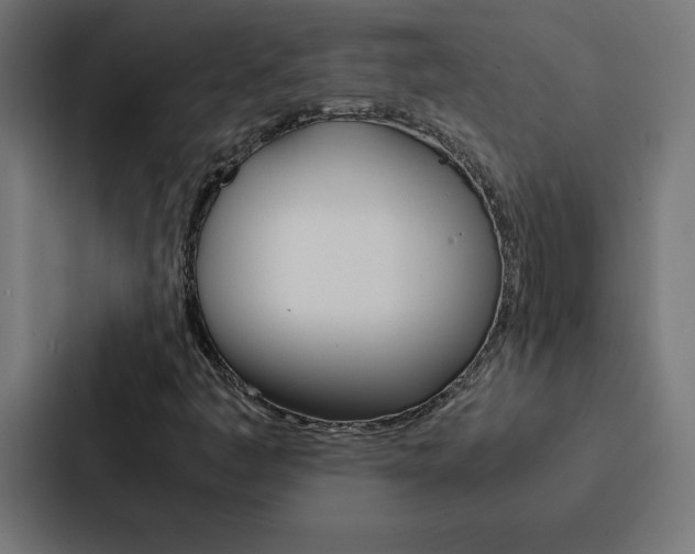 X0000088191445200705150950