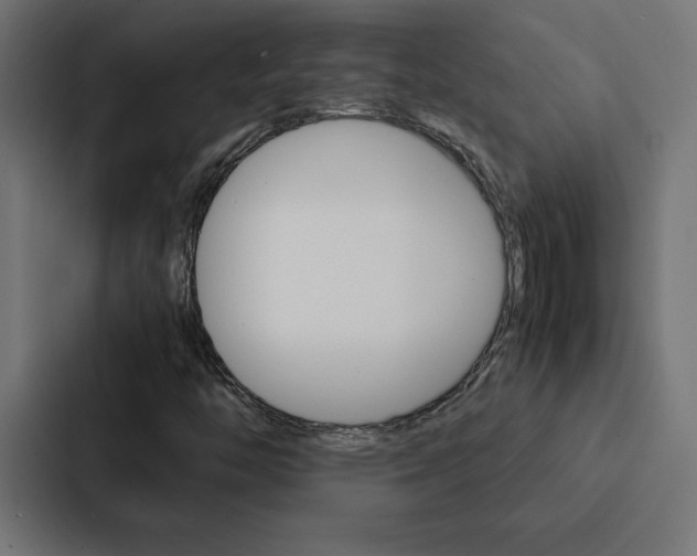X0000088191446200705150950