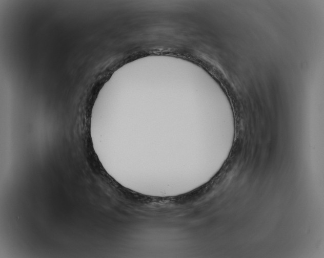 X0000088191447200705150950